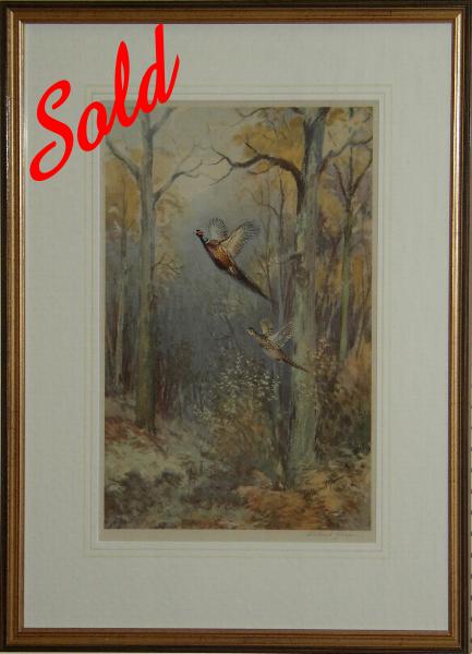 *Sorry, SOLD* Pheasant Rising by Green Roland